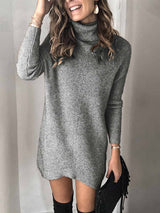 Amsoin Casual Turtleneck Midi Dress